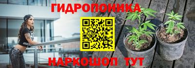 метамфетамин Гатчина