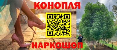 дурь Гагарин