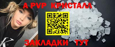 бошки Гай