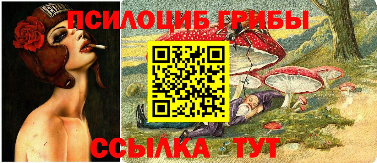 продажа наркотиков  Заинск  Псилоцибиновые грибы мицелий 