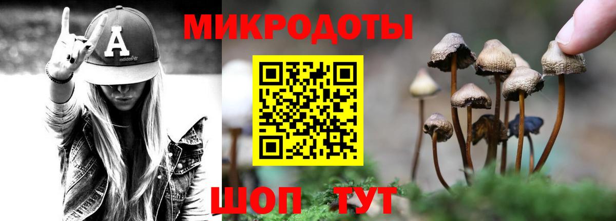 Псилоцибиновые грибы MAGIC MUSHROOMS  Вход с VPN  Галлюциногенные грибы Psilocybine cubensis  где можно купить   Заинск 
